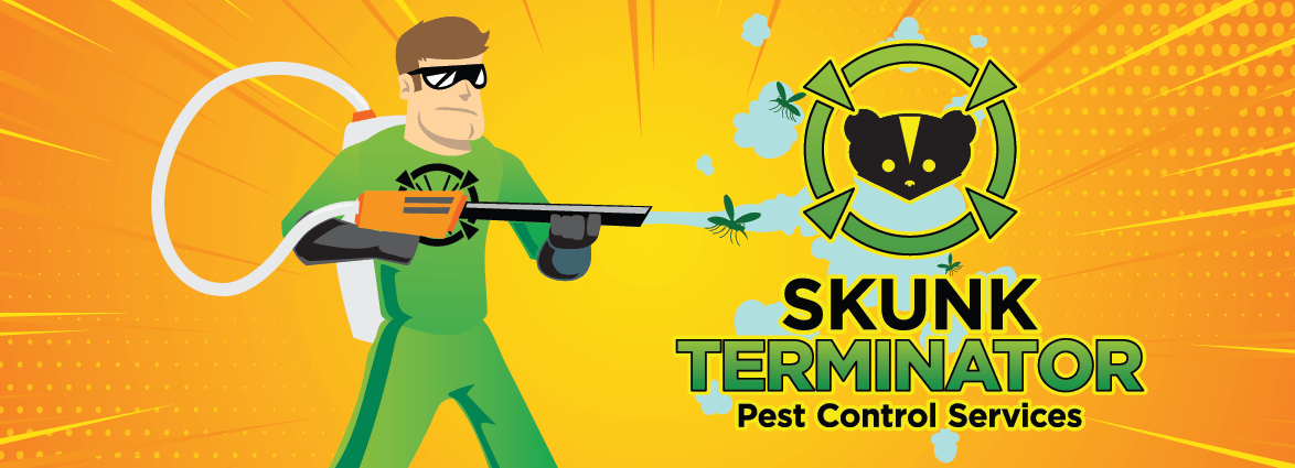 Humane and safe skunk removal services to protect your property from unwanted wildlife in Barrie and surrounding towns.